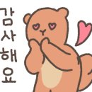 마스터 홍 태권도 이미지