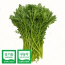 하늘농부유기농영농조합법인 이미지