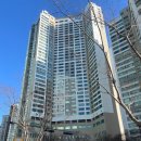 늘푸른초등학교 | 미금역 분당미켈란쉐르빌 임장을 가다!