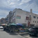 사파동162 이미지