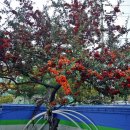 삼흥주유소 이미지