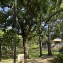 스위트짐 이미지