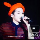 슈와나 이미지
