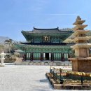 봄꽃힐링투어 이미지