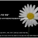 전국장애인야학협의회강원지부