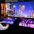 포커스 온 펫 이미지