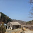 숲속에하루민박 | [춘천] 신선한 재료와 우리 밀로 만든 '계절접시' - 감성 베이커리 밀봄숲