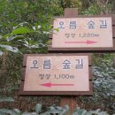 저지오름 이미지