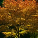 창촌중학교 이미지