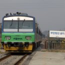 동차이나 이미지