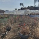 곤지암읍-13 이미지