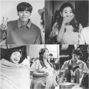 퍼퓸 티브이데일리