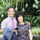 잉꼬농장 이미지