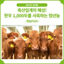 혜성축산 이미지