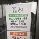 마블농장 | 용인곤충테마파크 3살(22개월), 11살 둘다 대만족한 후기, 체험예약팁, 주차팁, 체험순서