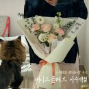 이수역꽃집 써니드플레르 생화꽃다발 선물후기