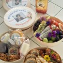 다채로운 도시락 | 광주 연예인 도시락 박창근 콘서트 식사 책임진 후기