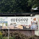 성읍칠십리식당 | 제주 서귀포 표선 흑돼지 맛집 성읍칠십리식당, 3대천왕 흑돼지 추천