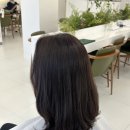 식물원사거리 | 광명사거리미용실 추천 네이플헤어 전체염색 후기