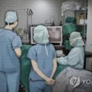 한국식물병원