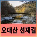 평창 대하리 전통가옥 | 오대산 선재길의 가을 , 섶다리에서 월정사까지 힐링 트레킹 코스