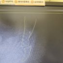 참사랑 | 김해 참사랑어머니회 산후도우미 이용후기 :D