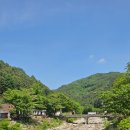 홍계곡민박 | 바이크로 다녀온 화천 광덕계곡 닭백숙