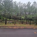 하원동-1 이미지