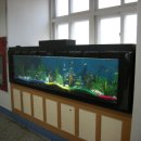 서울서초초등학교 이미지