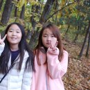 초등 감성미술 이미지