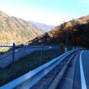 국립미천골자연휴양림 이미지