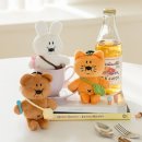 푸디 브라더 이미지