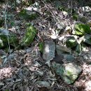 구룡산성 이미지