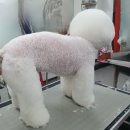 멍 삼촌 이미지