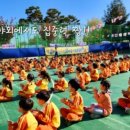 사관유치원 이미지