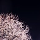 금정제일공원 이미지