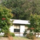 염포초등학교 이미지