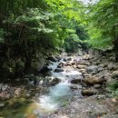 행열 농장 Daum카페