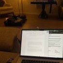 진기농장 | [EP.02] LA 휴가 - 조슈아 트리 투어