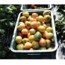 가온길하우스 이미지