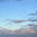 (주)벌리 이미지