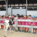 농도원목장 이미지