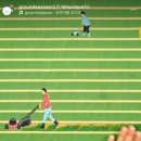 부에나두모 이미지