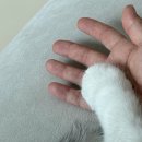 여주고등학교 | [동탄제일병원]38주 제왕절개 1인실 입원/조리원 대기 다인실 후기/1인실꿀팁