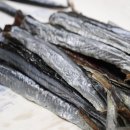 (주)씨푸드 Daum카페
