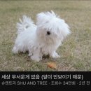 '구김살이 없어서 좋다'며 온실 속 화초처럼 자란 애들만 뽑아놓고는 이미지