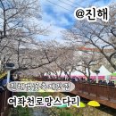 씨유진해여좌벚꽃점 | 진해 벚꽃축제 맛집 주차 실시간 여좌천 후기