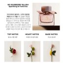 BLUSH 카페 앞 | 마이 버버리 블러쉬(Blush) EDP - 버버리 에코백...노마드 / 버버리 허(her) EDT, 런던드림, 히어로 후기