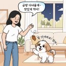 코지동물의료센터 이미지