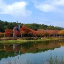 동화부산사무소 이미지